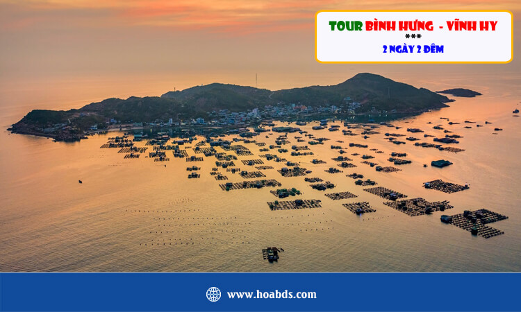 Tour Bình Hưng - Vĩnh Hy 2 ngày 2 đêm